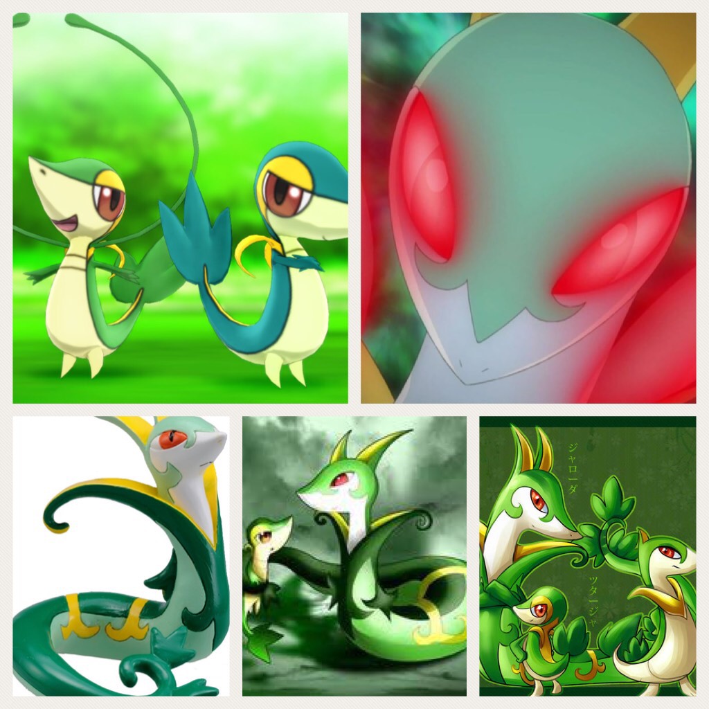 Serperior is one of my favorite Pokémon because it can mind control 