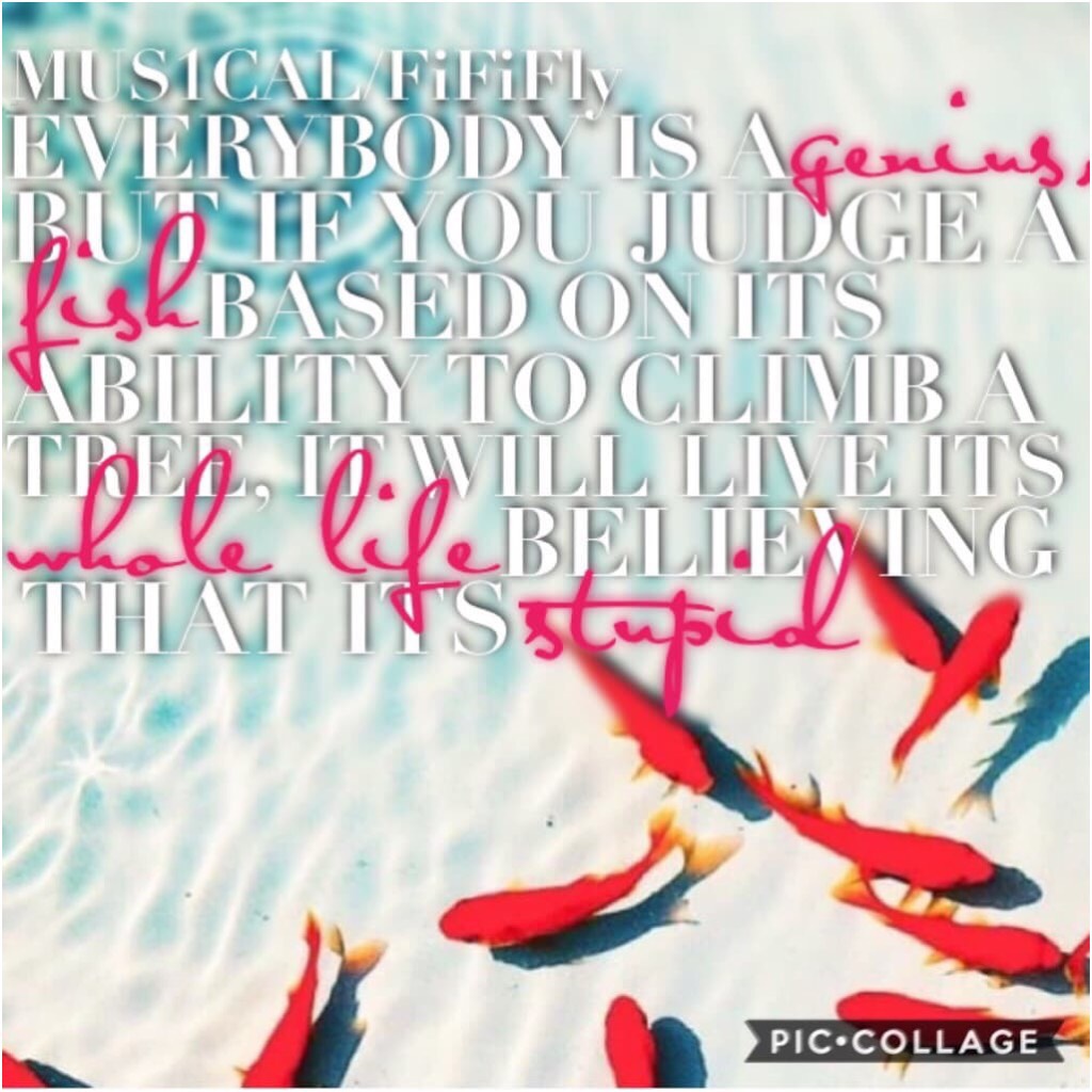 Collab with...
@MUS1CAL!🎵🎶
Jamakie is so kind and talented so go follow!💕
I did the background and quote, and she did the AMAZING text😍
Quote from Albert Einstein😱
#FiFiFly #PConly #Albert Einstein #fish