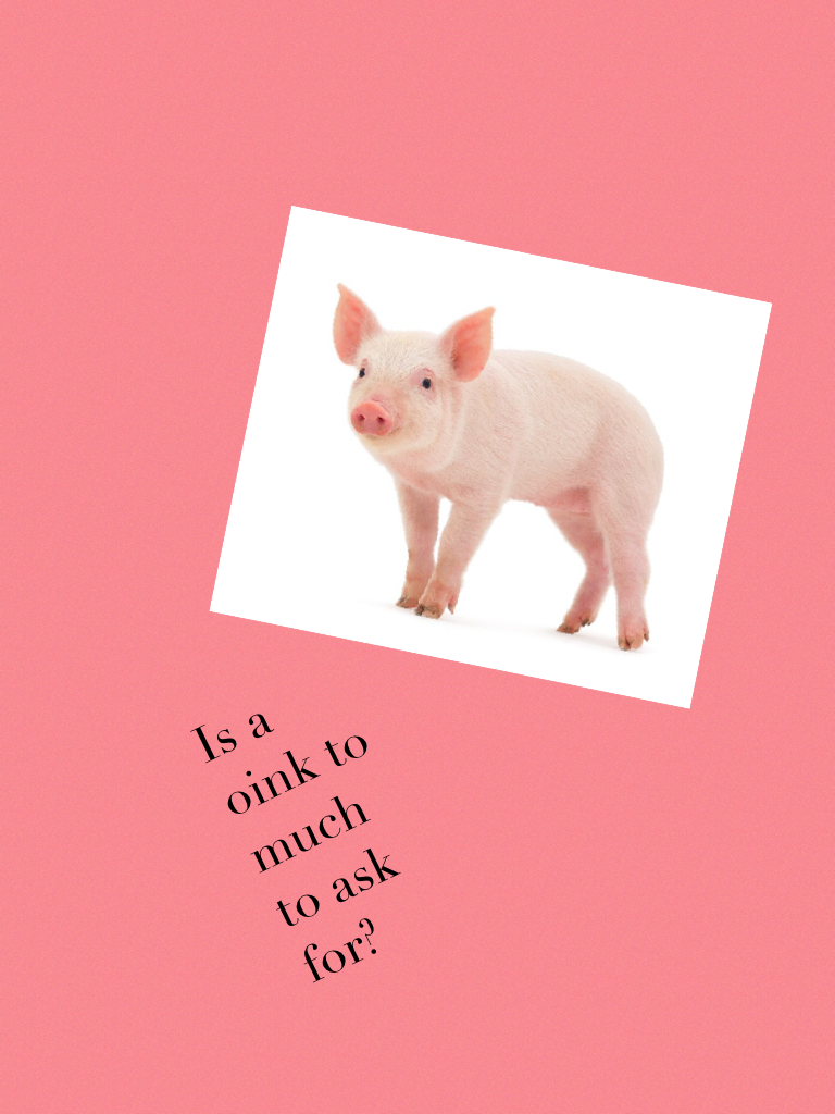 Is a oink to much to ask for?
