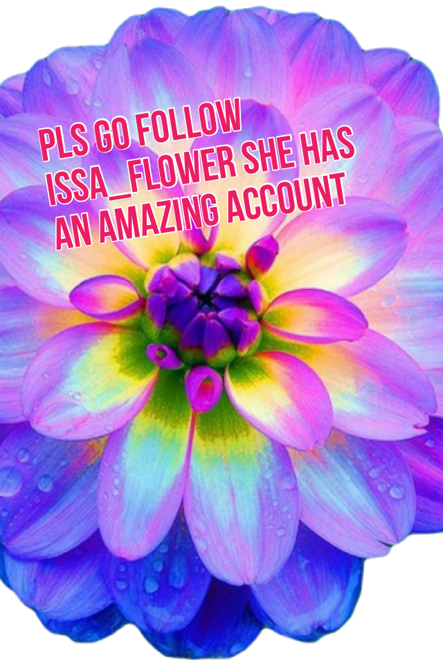 Pls go follow issa_flower she has an amazing account
