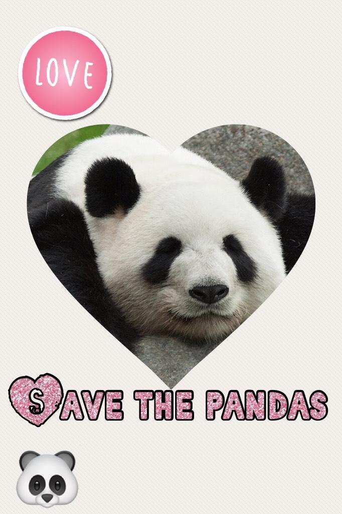 Save the pandas 🐼 