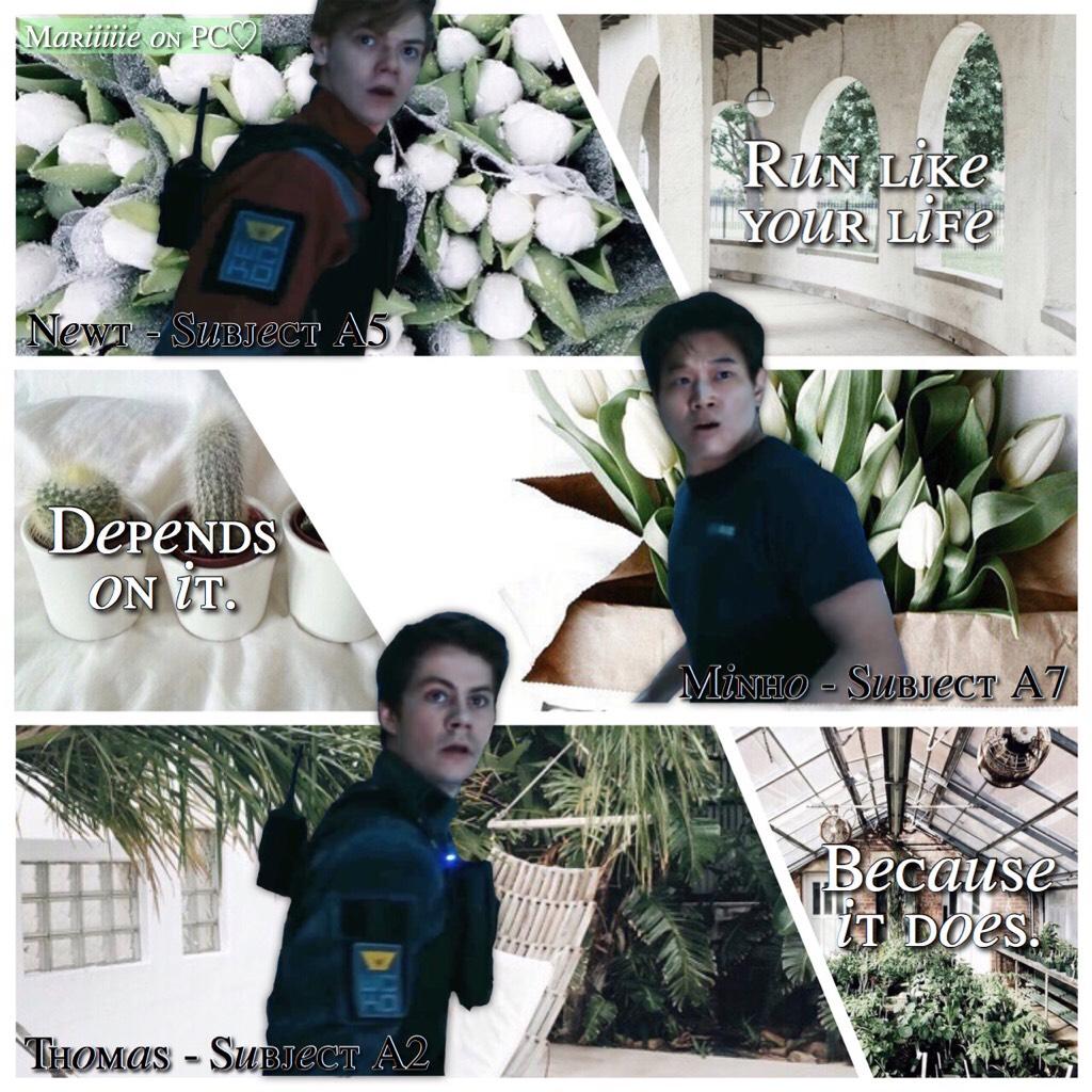 🌿- T A P -🌿

The Maze Runner edit! Hope you like it!!💚💚

I watched the last TMR yesterday! Who else watched it?😍

There are still 3 spots left on my TV show mega collab!😊

QOTD - Fav TMR character?

AOTD - NEWT❤️❤️❤️

✨