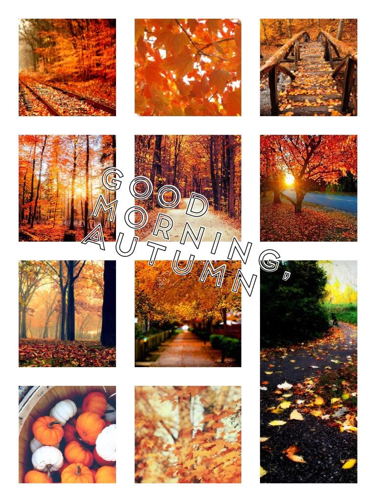 Good morning, autumn 