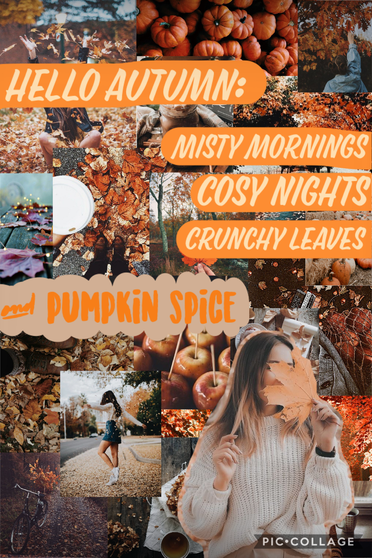 🍁Here is an autumn collage!! 🍁 My next one is going to be winter!! I had some trouble with the text on this one but I hope you like it!! 
Stay safe everyone!!