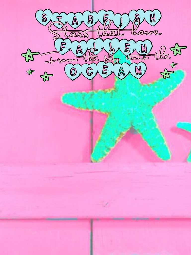 Starfish ⭐️