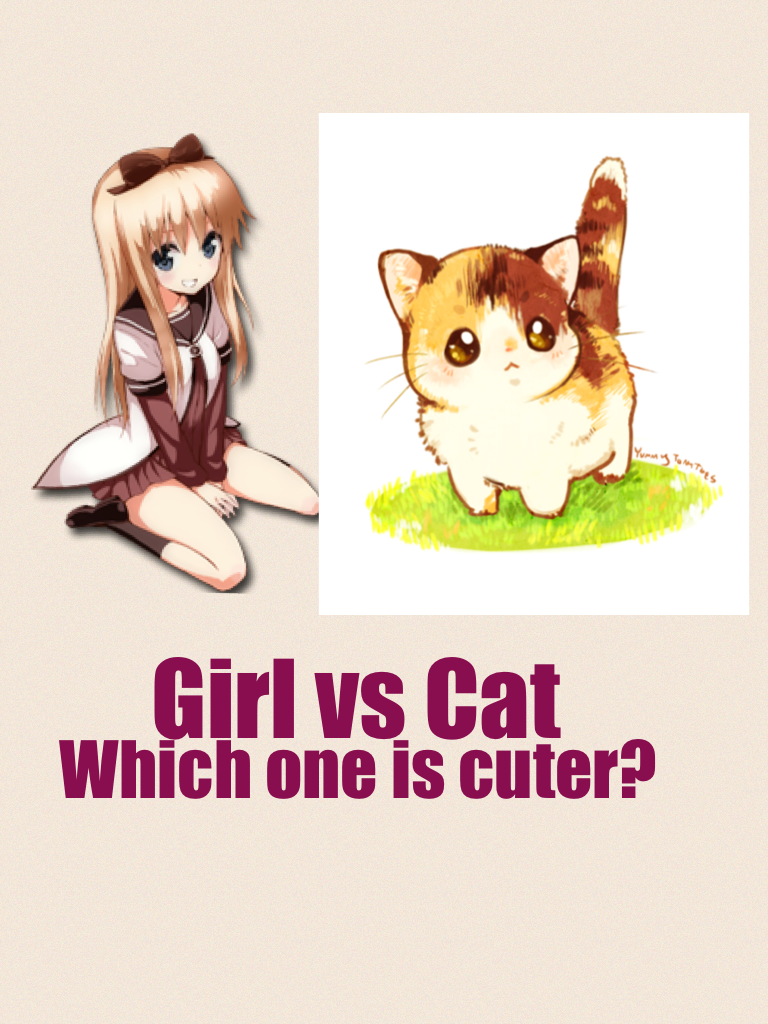 Girl vs Cat