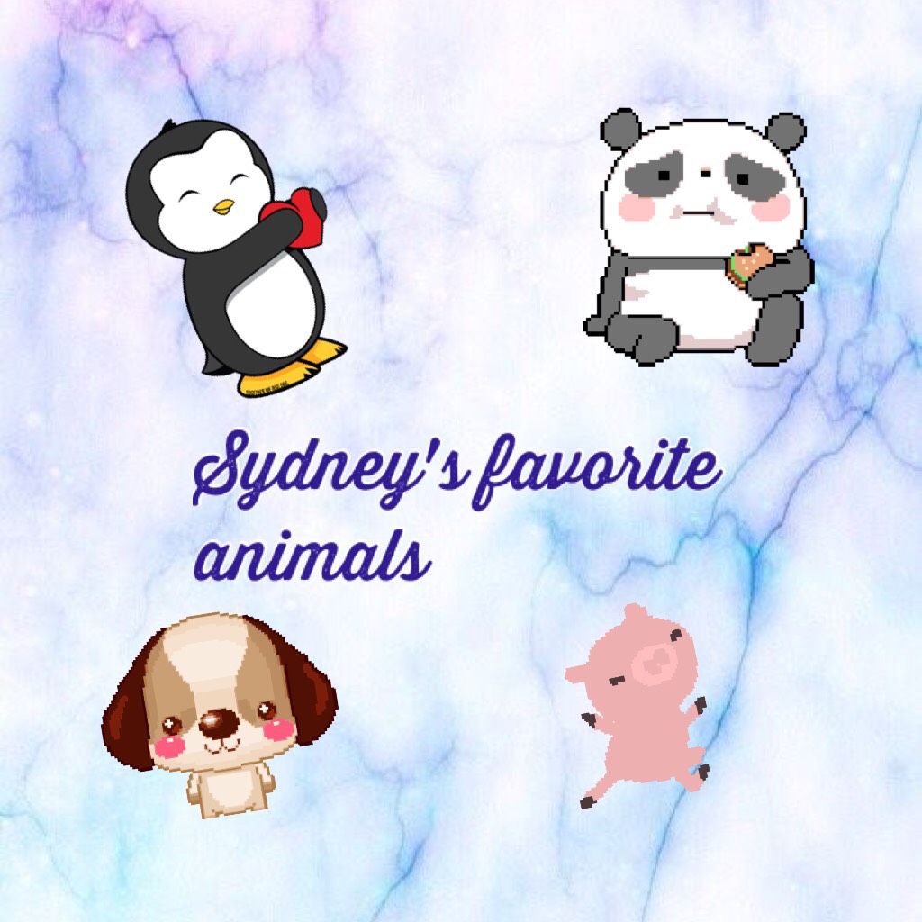 Sydney's favorite animals