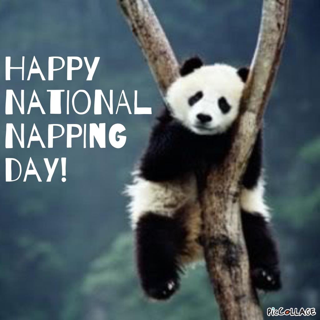 Happy National Napping Day!