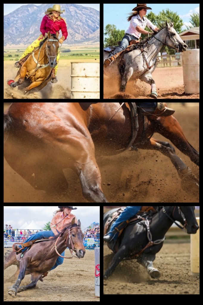 Collage by HorseGirl4Life