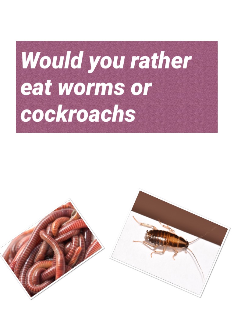 Would you rather eat worms or cockroachs