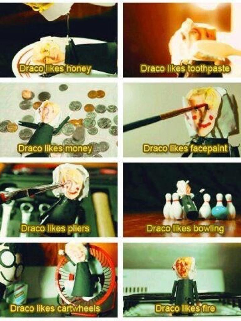 Other things Draco loves
