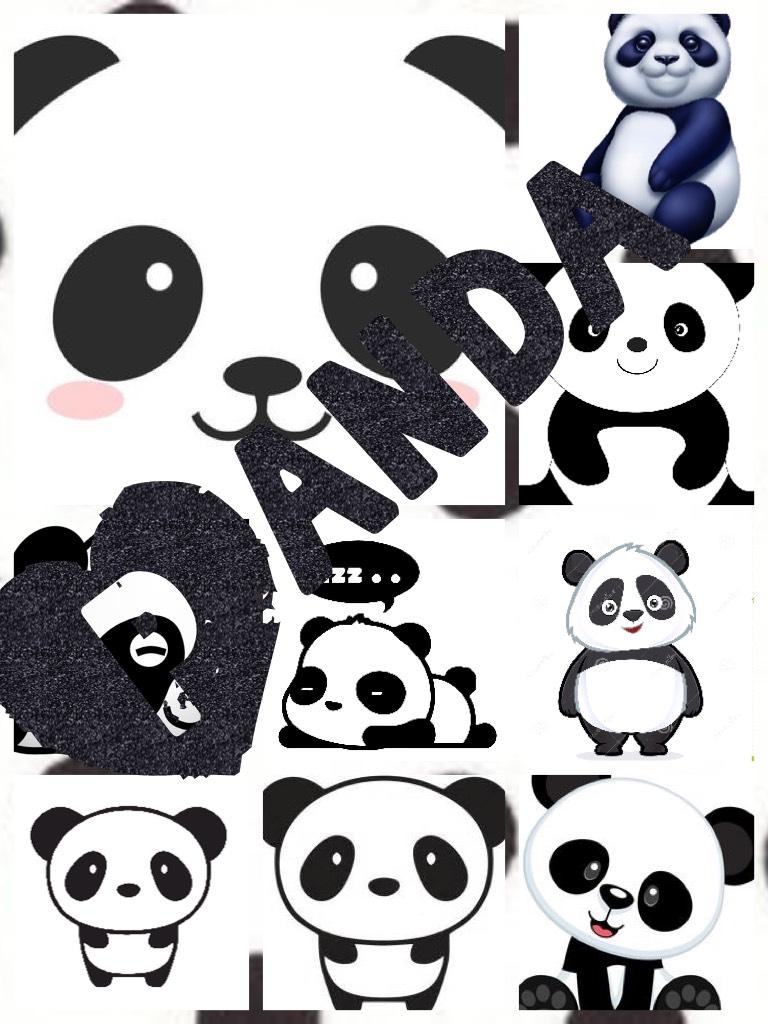Panda cuteness🐼