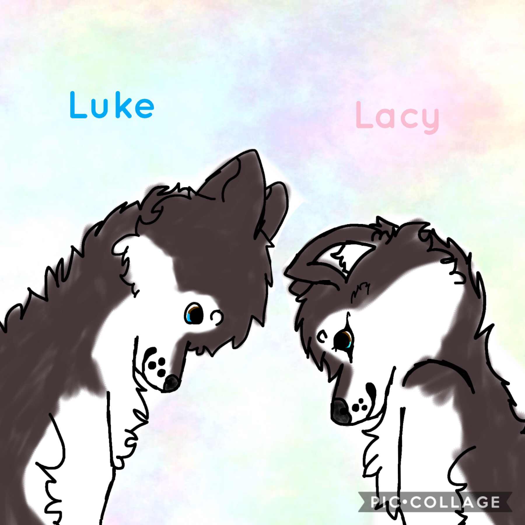 Luke and Lacy are twins and Luke is my character but Lacy is not she is my friend's.