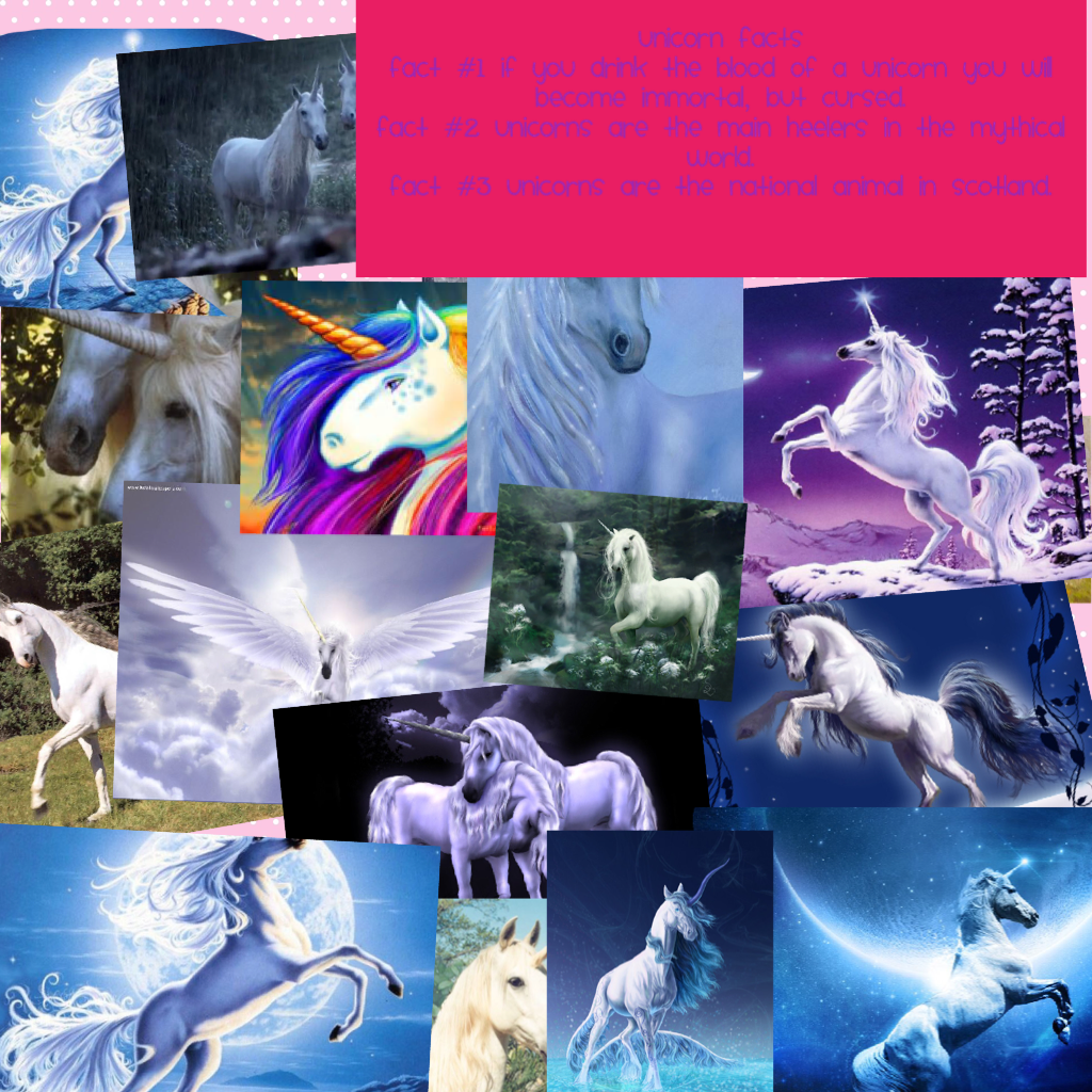 Unicorn facts 
Fact #1 If you drink the blood of a unicorn you will
become immortal, but cursed.
Fact #2 unicorns are the main heelers in the mythical world. 
Fact #3 unicorns are the national animal in Scotland.
If u like unicorns and learn more about th