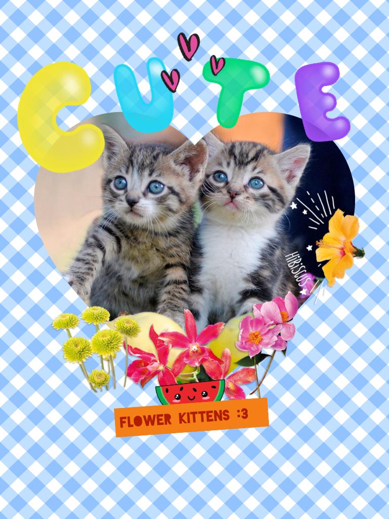 Flower kittens :3