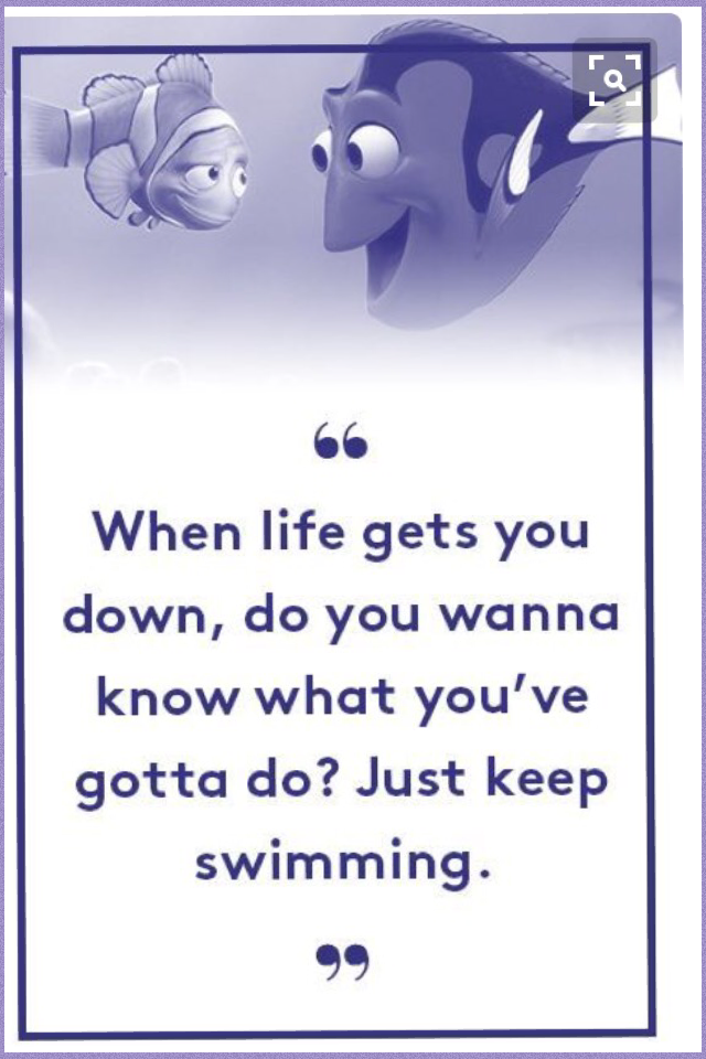 Just keep swimming 😂🐠🐟🐋🐡🐬
