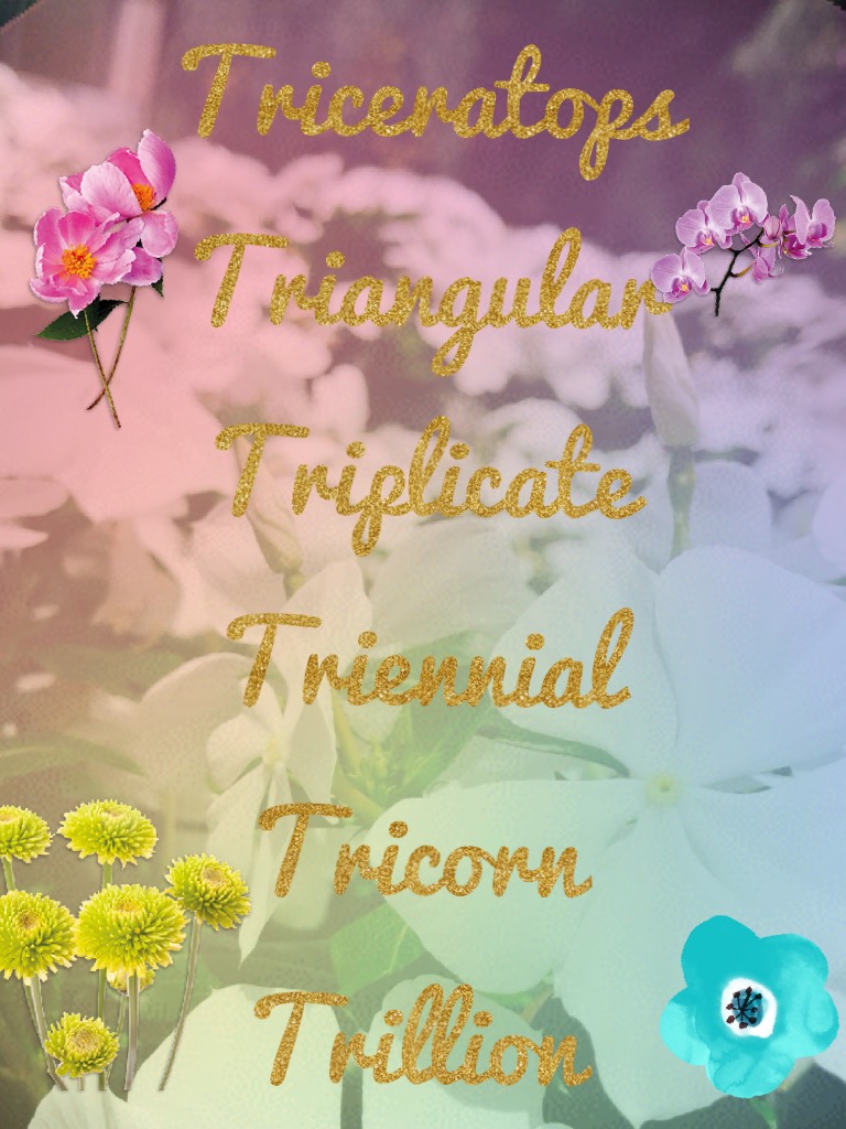 Triceratops
Triangular
Triplicate
Triennial
Tricorn
Trillion