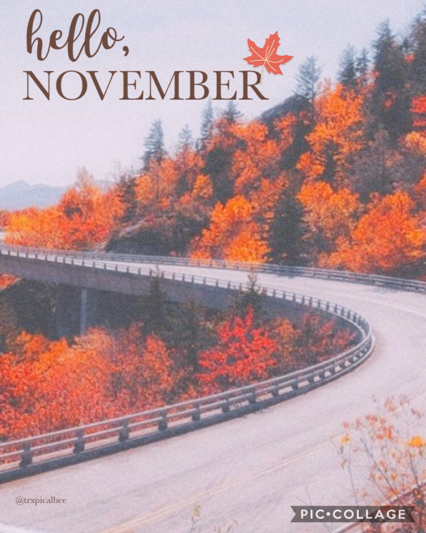 hello, november! 🍂 it’s almost christmas! :))

[looks like i’m back for a bit! ✨]