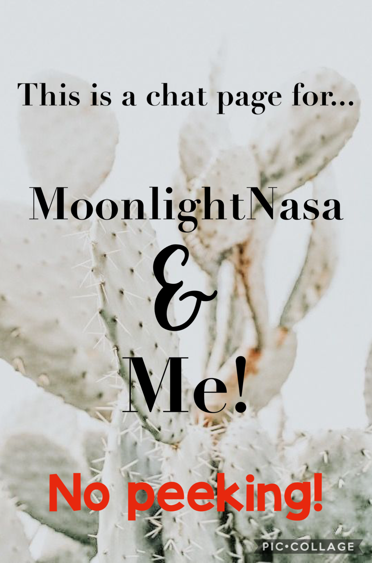A chat page for MoonlightNasa and me! 
No Peeking! 