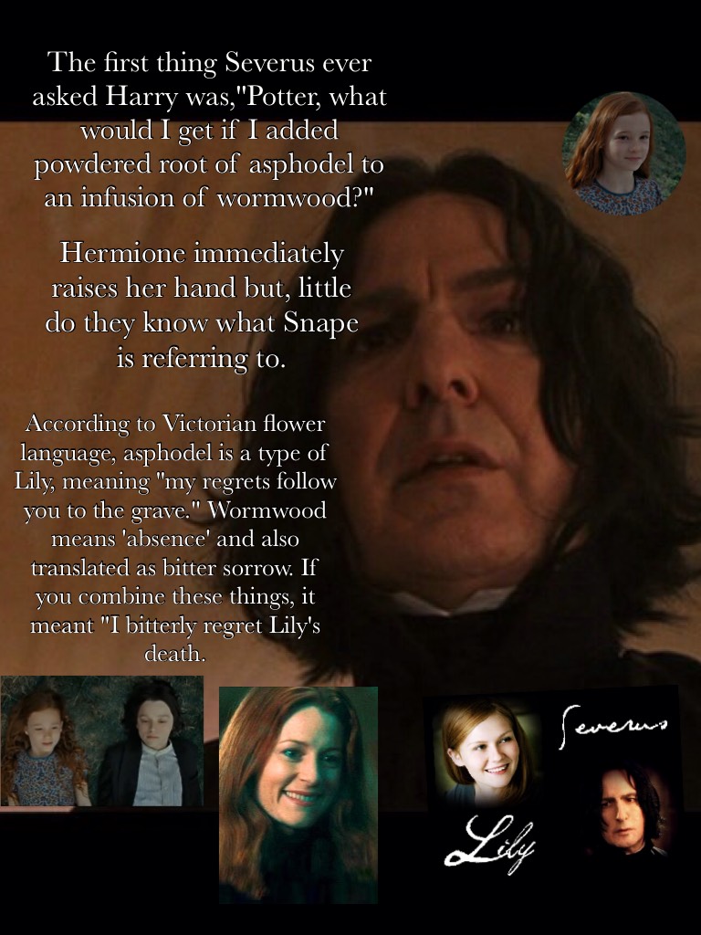 What was Snape referring to?