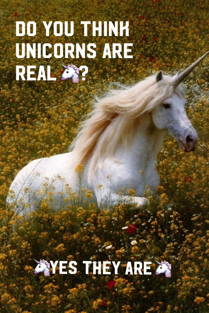 Comment if 🦄 are real