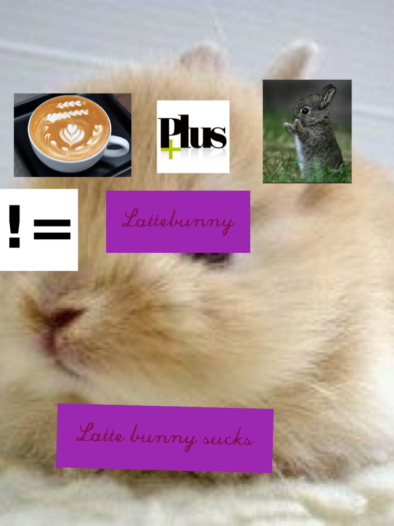 Latte bunny sucks 