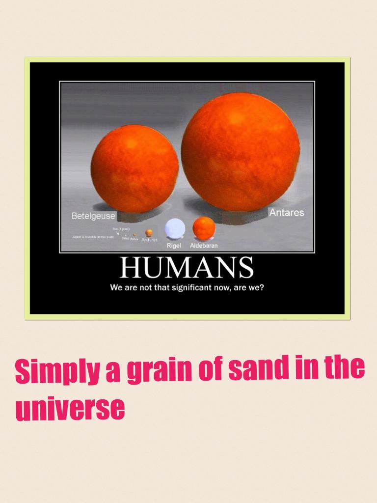 Simply a grain of sand in the universe 