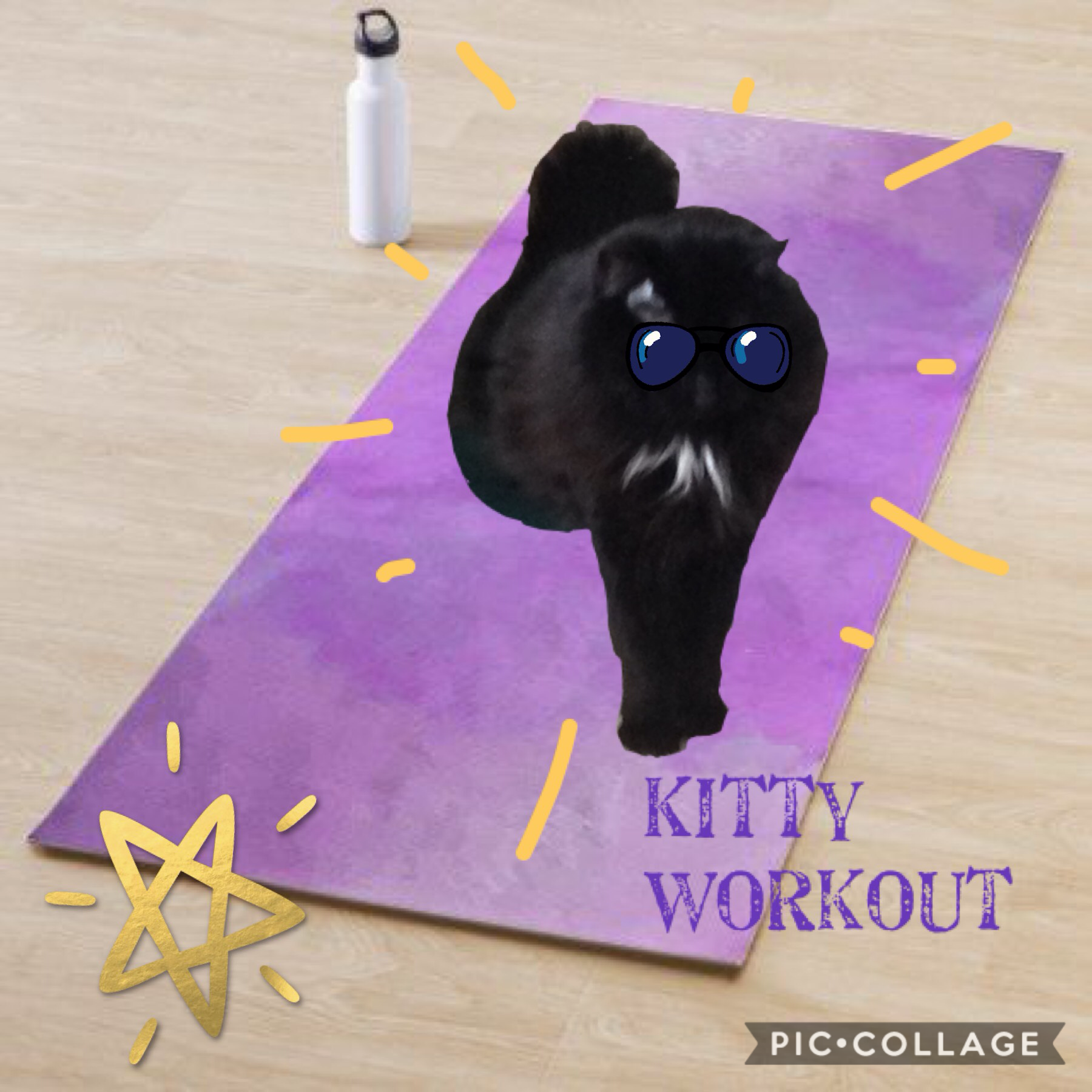 🥇tap🥇
Kitty workout! 🐱 #thuglife 