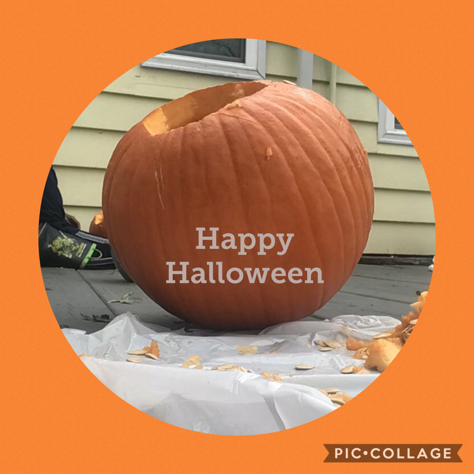 Happy Halloween, let’s carve some pumpkins!