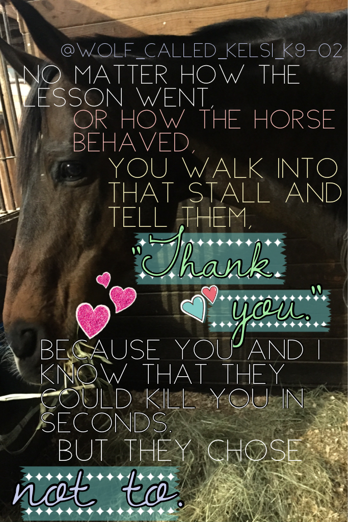 "No matter how the lesson went, or how the horse behaved, you walk into that stall and tell them, "Thank you." Because you and I know they could kill you in a second, but they chose not to."
Awe ❤️ 
I'm so so sorry I've been inactive for so long I've been