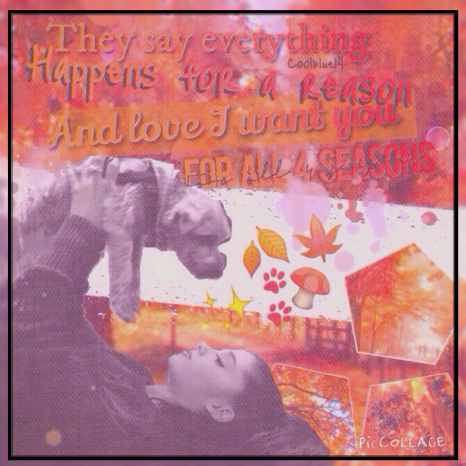 Fall grunge edit!! 🍂With ari and her new puppy !! 🌟💫🌙😍ALSO 8 MORE DAYSS! and new Emojis!🦄☄🤖🤑! Inspired by: BabyMelaine- !! Lol also does anybody wanna Collab?! Also my own quote!And finally please comment Butterfly oatmeal, if you read and liked this ! 