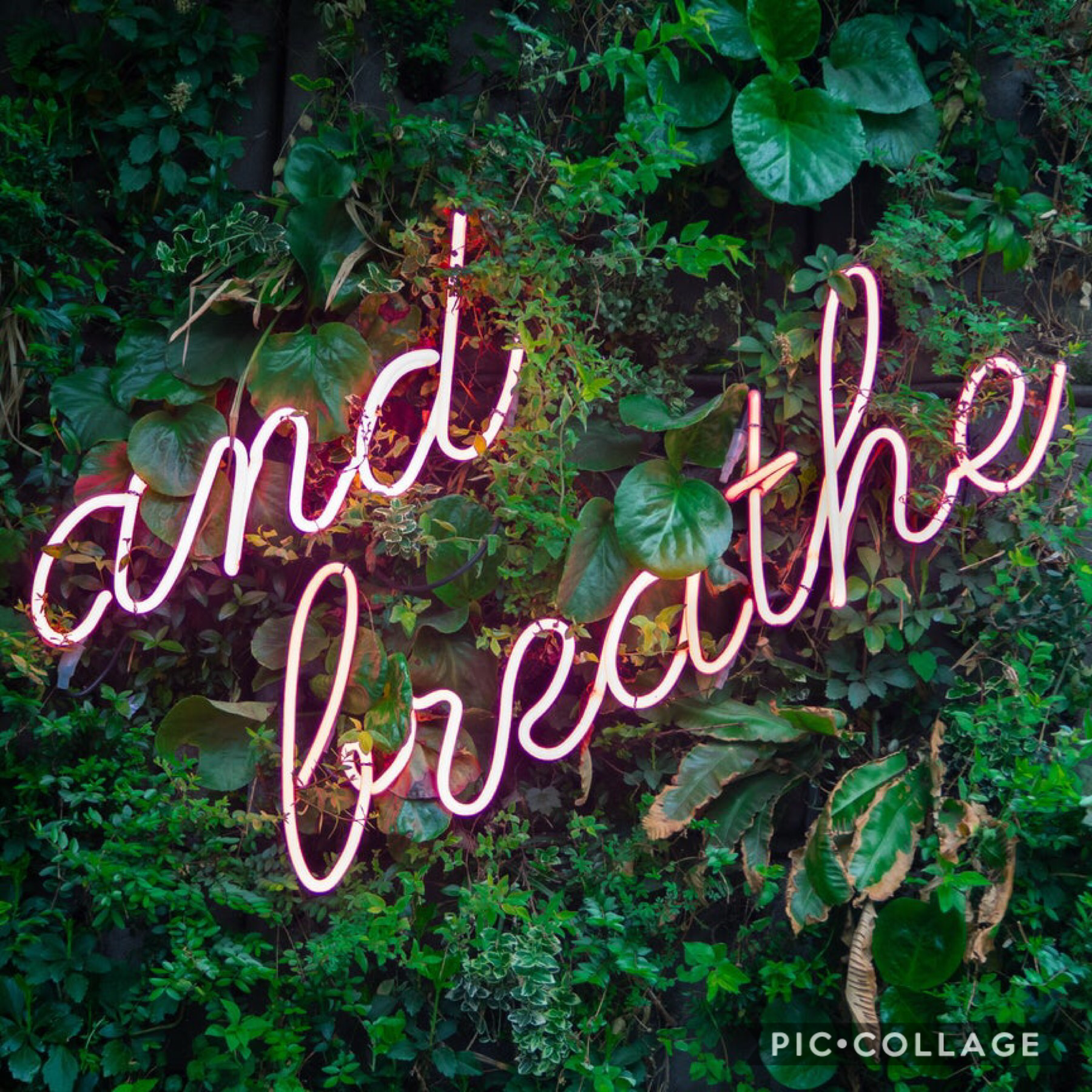 remember to just pause once in a while, take a breath and just relax❤️Take a day during the week to organize yourself, care for yourself so you can be the best you for the rest of the week☺️❤️I designate Sunday for relaxing so that’s a way you can self-ca