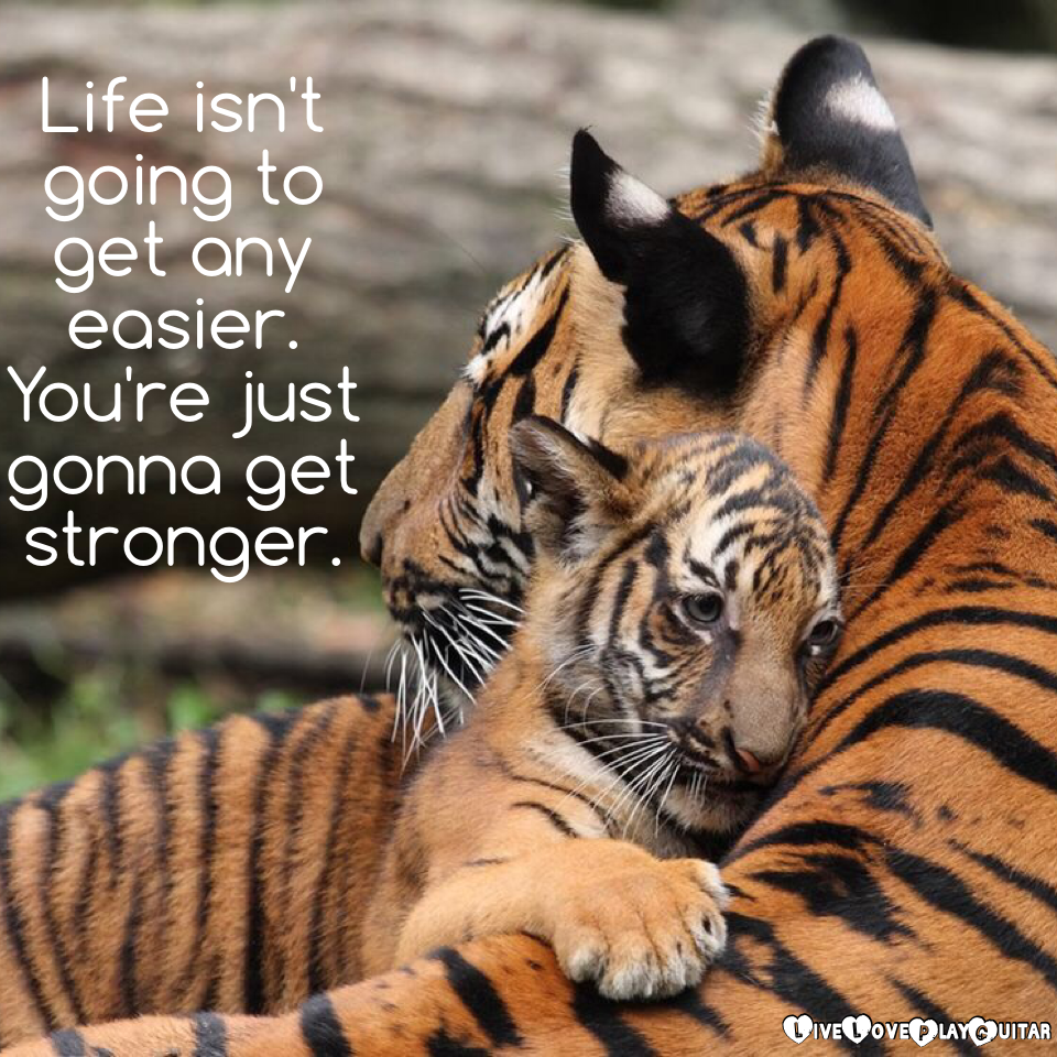 Life isn't going to get any easier. 
You're just gonna get stronger.