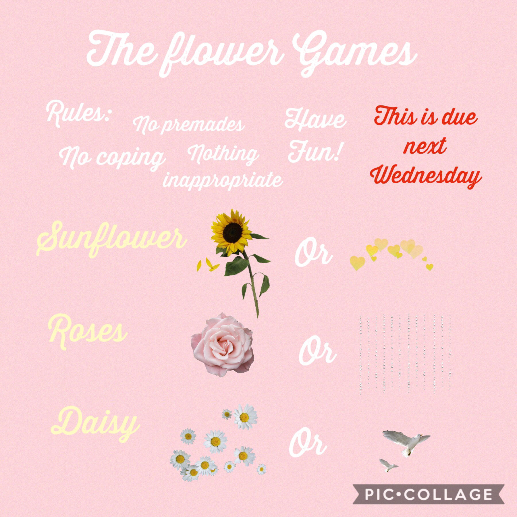The flower games!