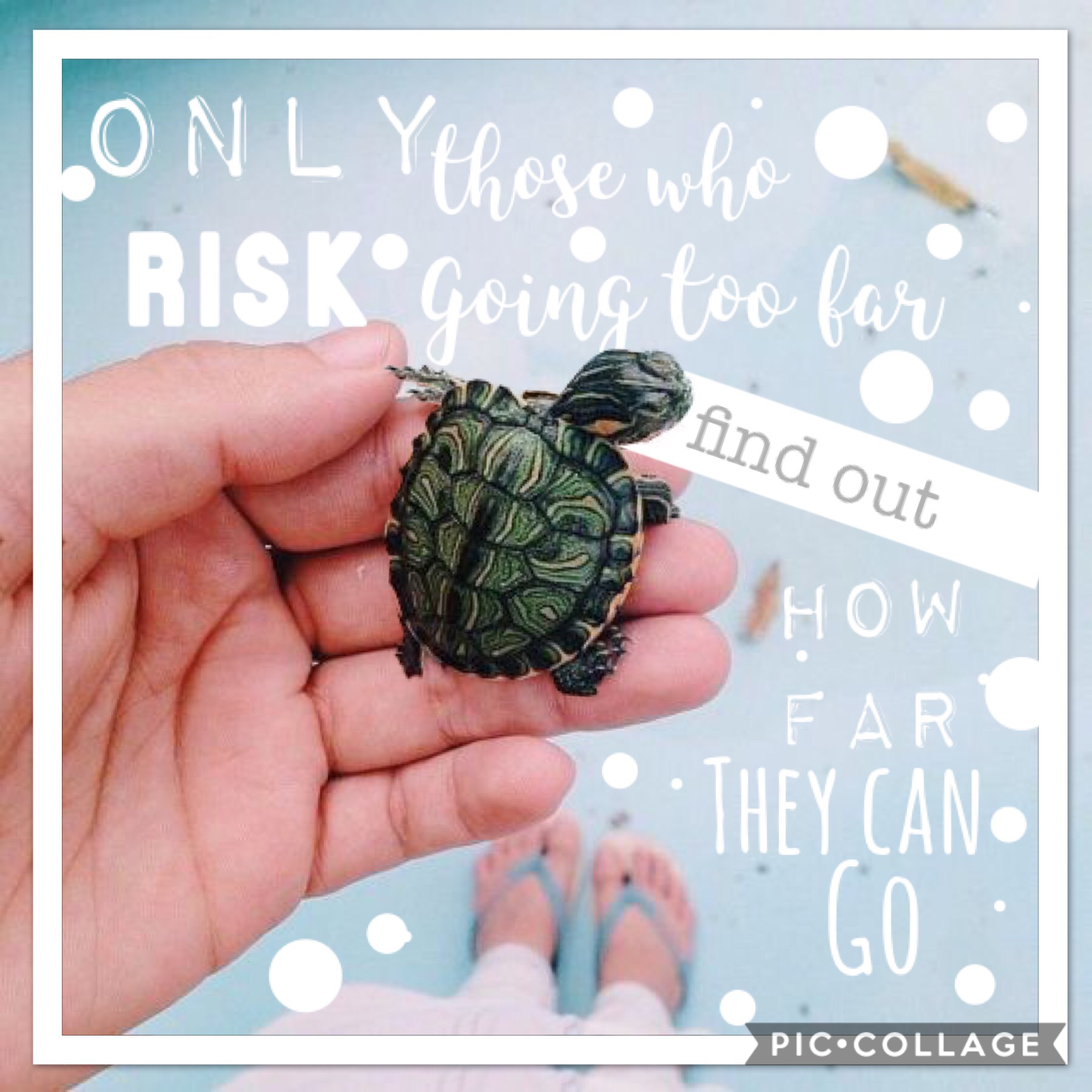 🐢Click the turtles! 🐢
Heyo! So if you want to know what im doing right now, I am sitting on my couch eating a breakfast burrito and drinking hot chocolate! Yep! So yeah! 

QOTD: Whats your favorite drink? 

AOTD: Probably a Shirley temple. Its a cherry fl