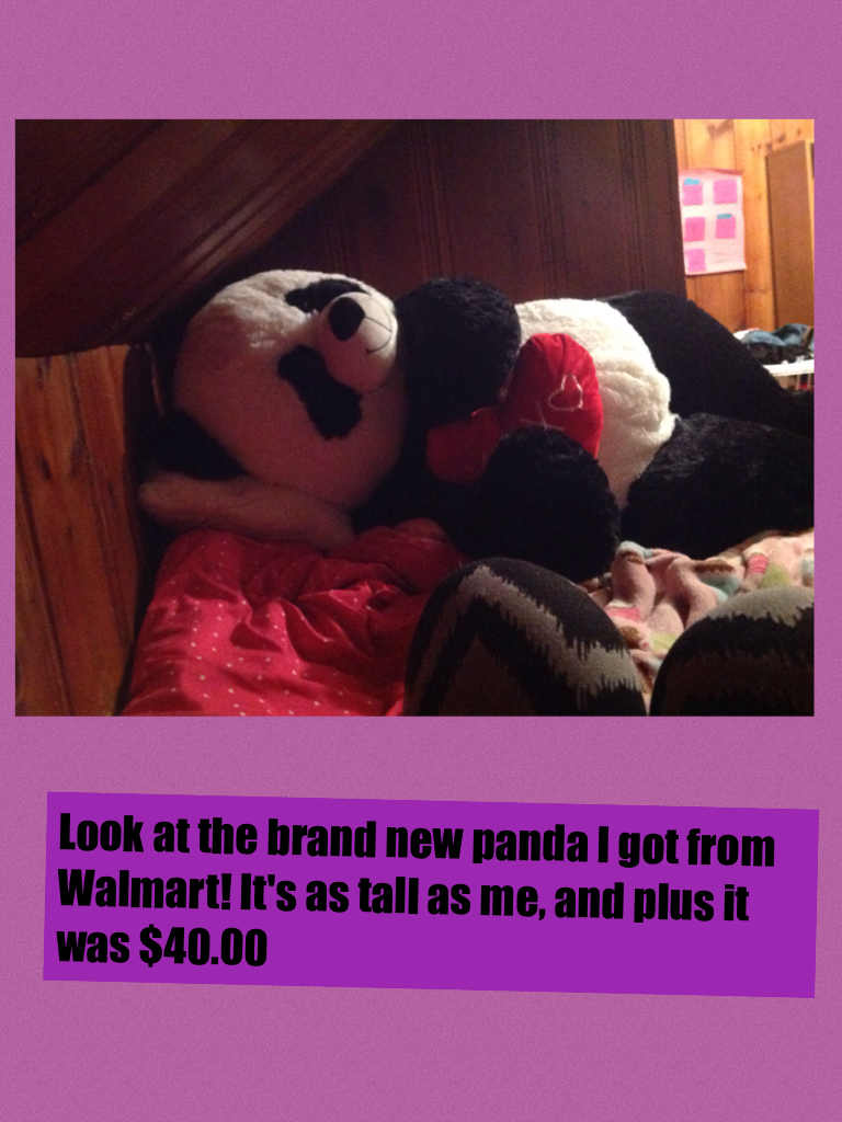 Look at the brand new panda I got from Walmart! It's as tall as me, and plus it was $40.00