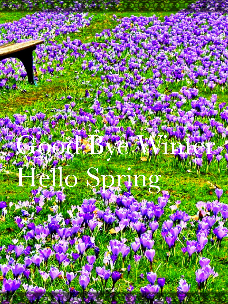 Good Bye Winter 
Hello Spring