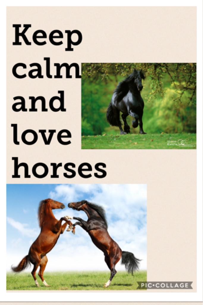 Keep calm and love HORSES