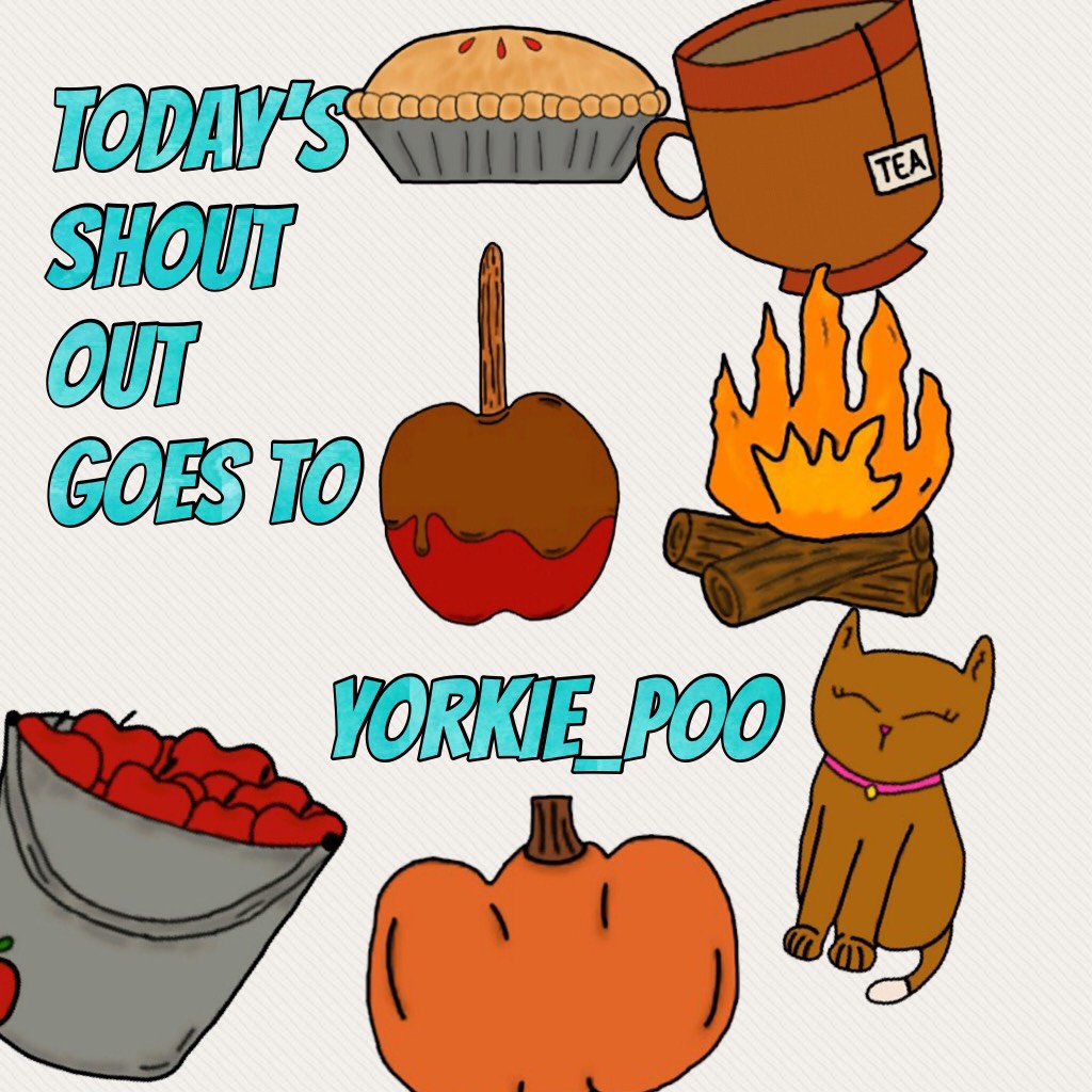 Today’s shout out goes to Yorkie_ poo 
