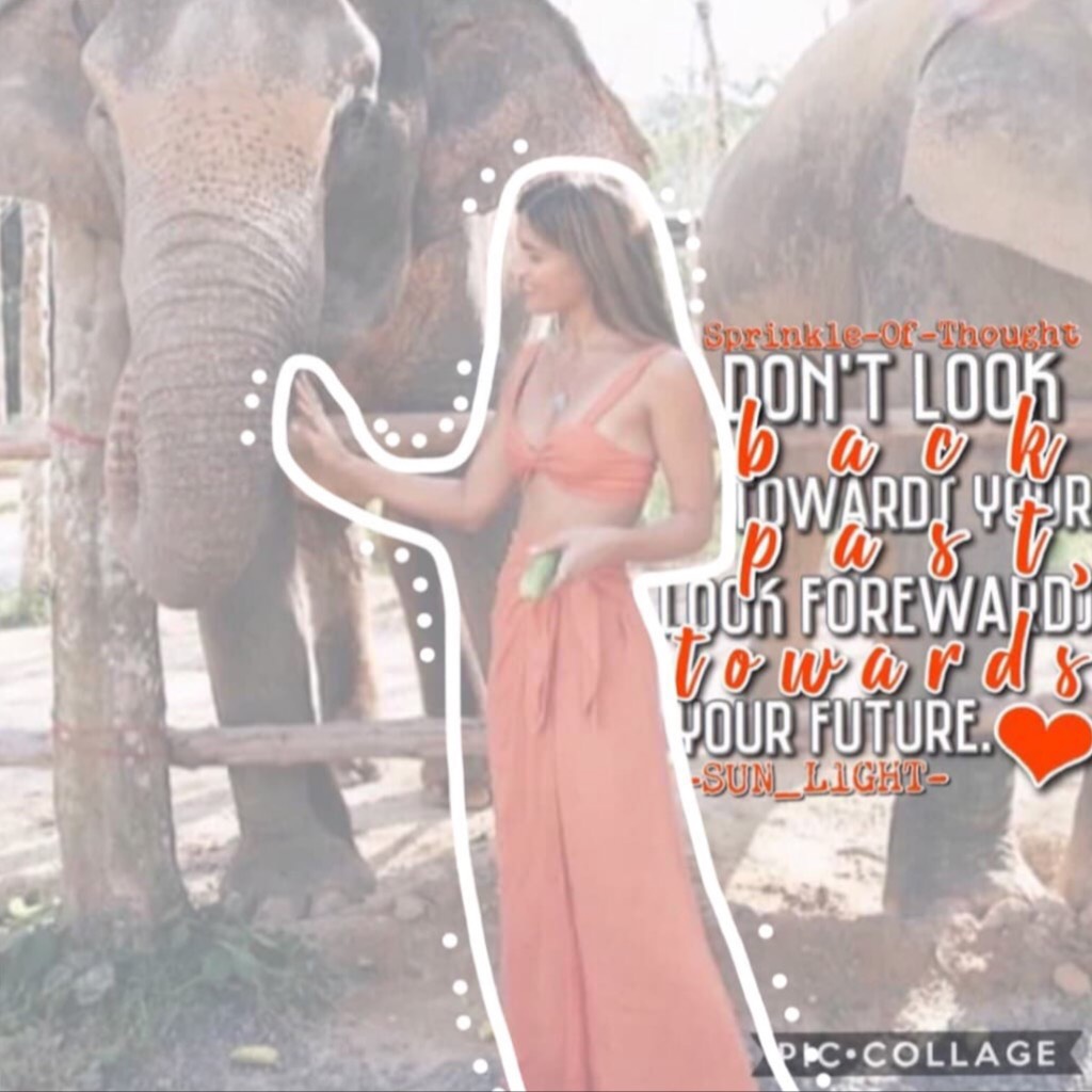 🐘8/5/18 AN AMAZING COLLAB WITH...🐘
☄️Sprinkle-Of-Thought☄️!!!
Go follow her amazing acc rn!!
I did the text and she did the stunning background and quote!...I just realized...this quote is similar as my first collage...🧐😂
