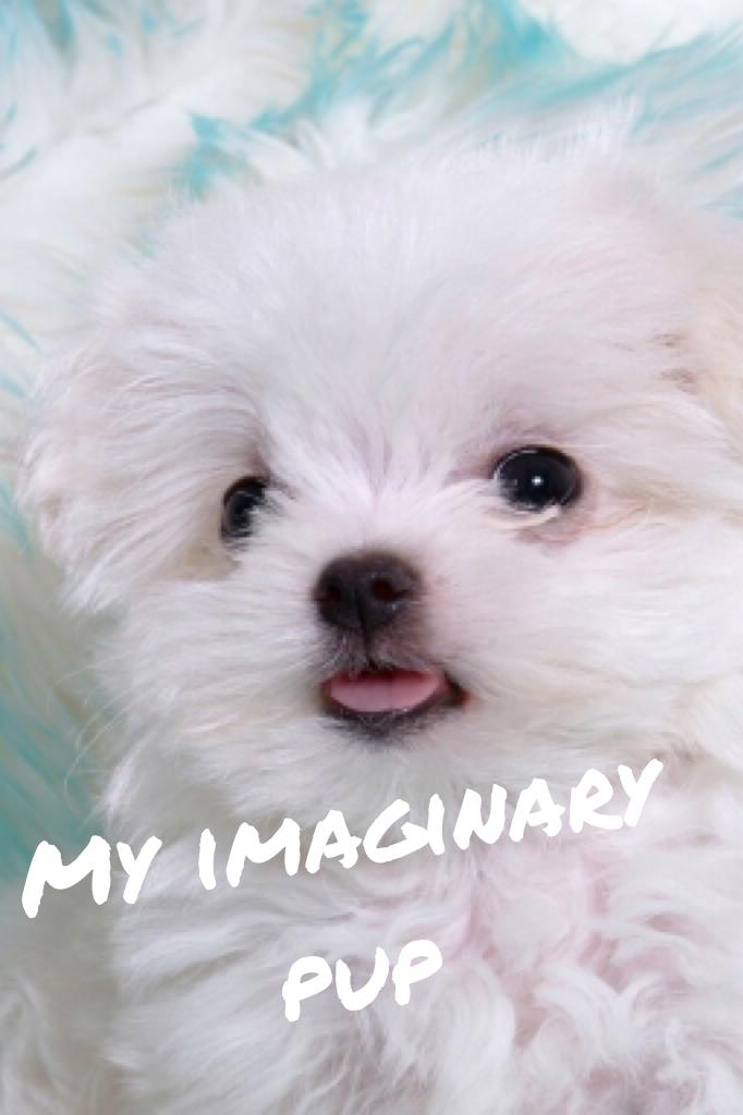 OMG I have one more imaginary pup