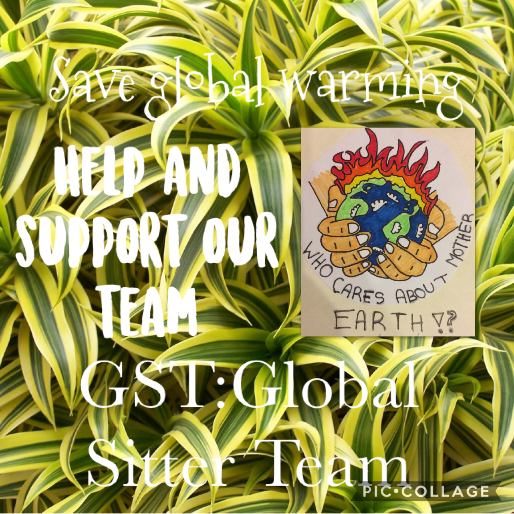 We created a group on picolage and it is called globalsitterteam4 and we are here to stop global warming, stop wasting plastic and polluting. Comme and look! 