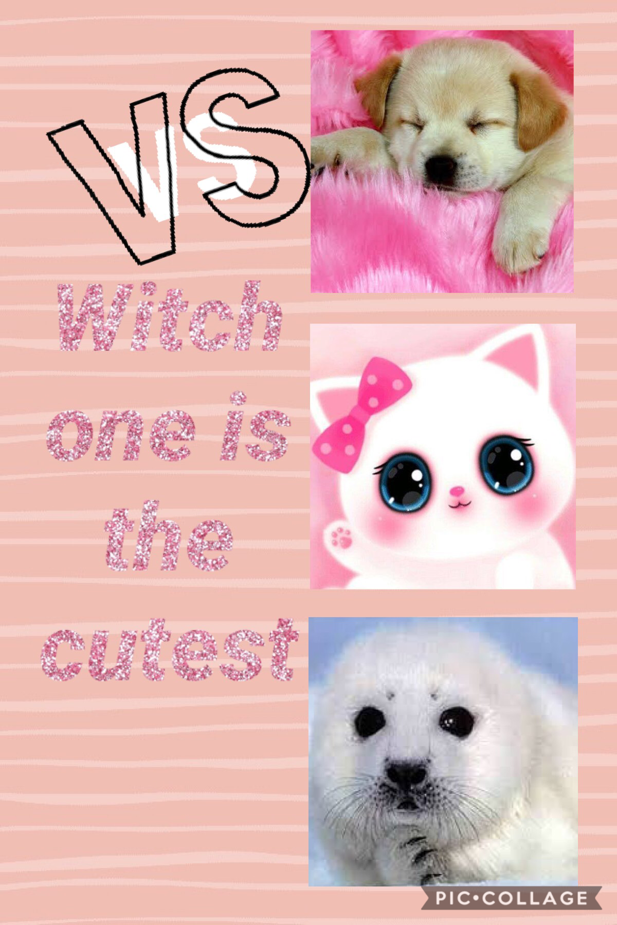 Witch one do you think is the cutest???