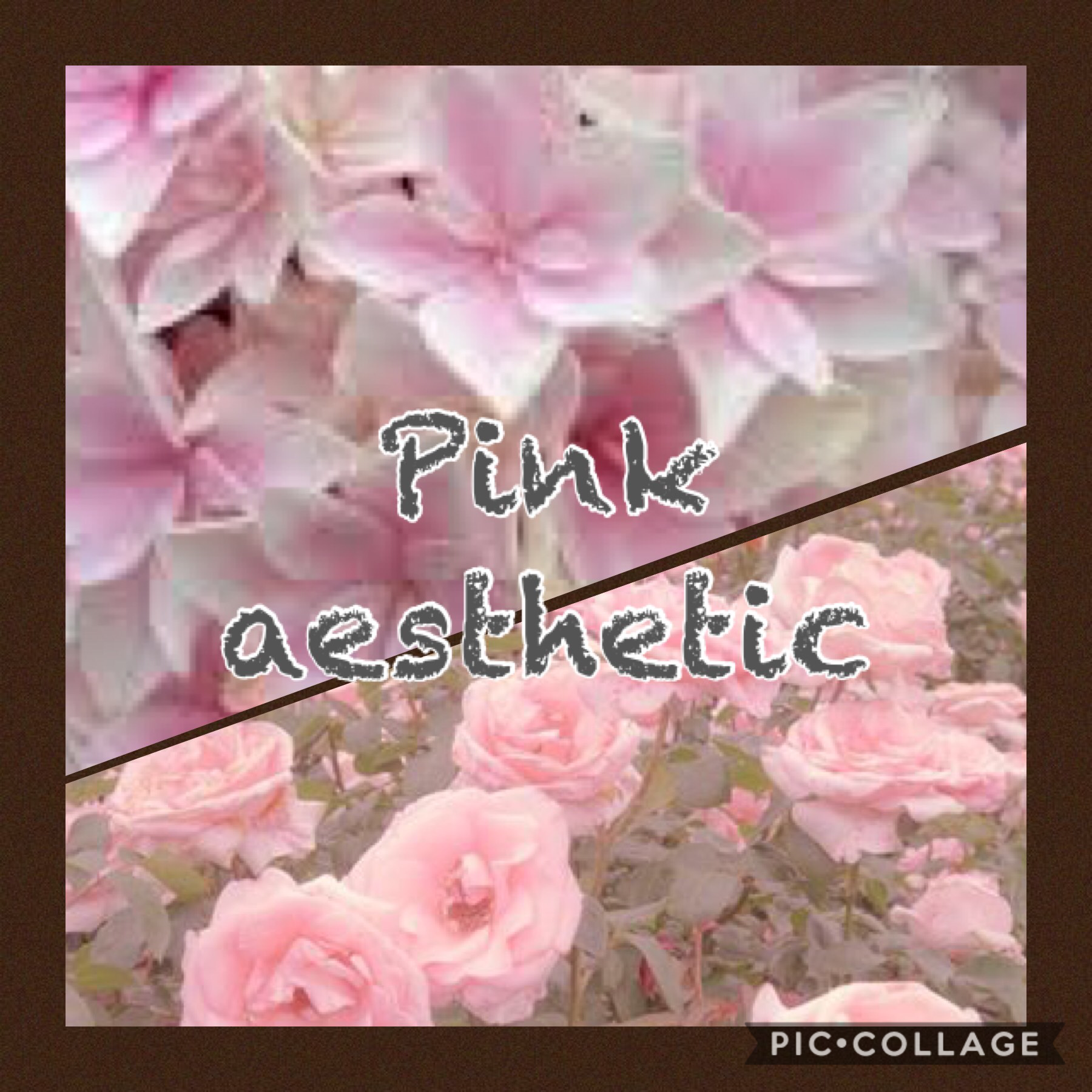 Pink 
Aesthetic
Flowers