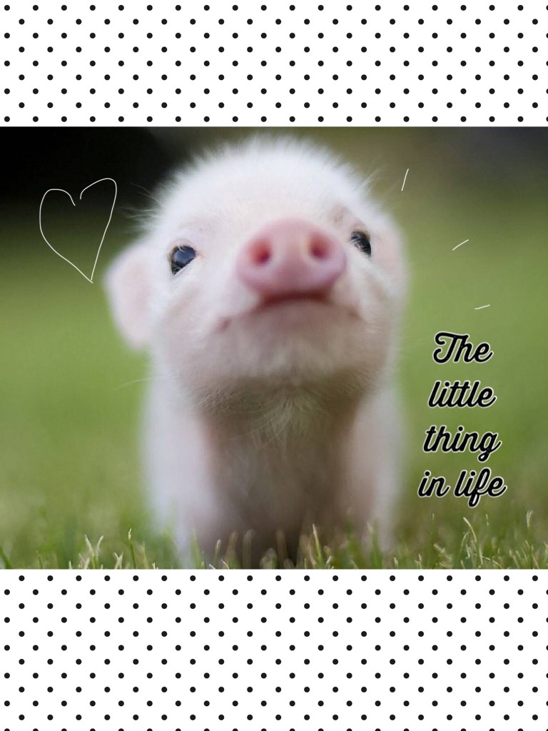 The little thing in life 