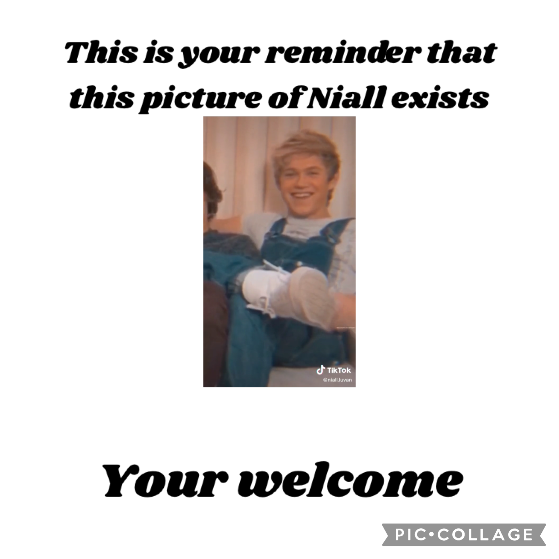 Picture from @niall.luvan on tik tok