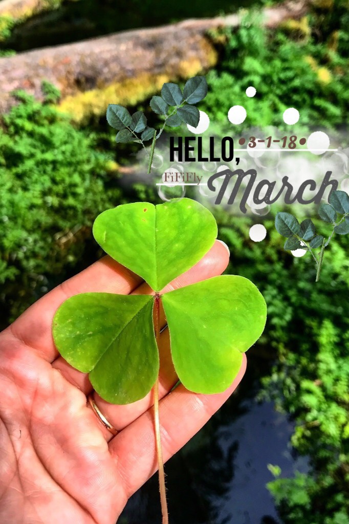 ☘️☘️clickety click☘️☘️
WOW! I CANT BELIEVE ITS ALREADY MARCH! I FEEL LIKE WE JUST CELEBRATED 2018😂
QOTD: Do u like the Shamrock Shake from McDonald’s?
AOTD: yeah🥤
#FiFiFly #PConly #feature me #March #shamrock