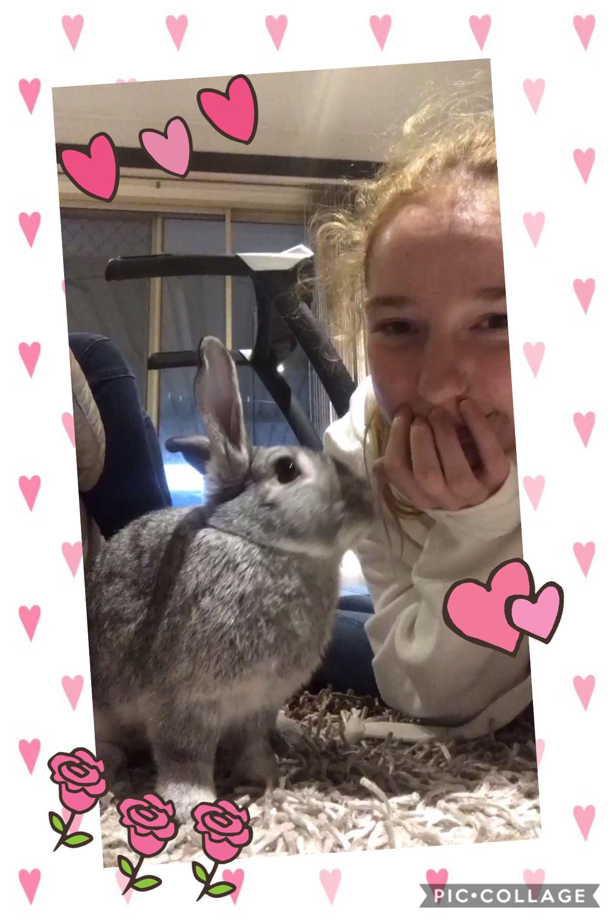 This is my bunny Tallulah💕🐰 