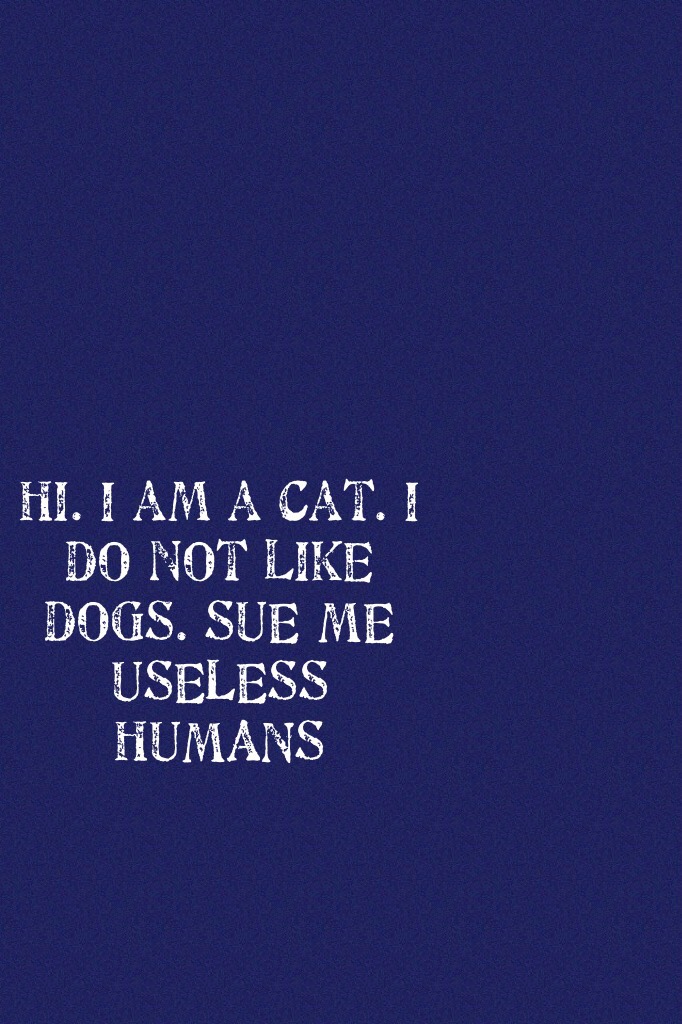 Hi. I am a cat. I do not like dogs. SUE ME USELESS HUMANS