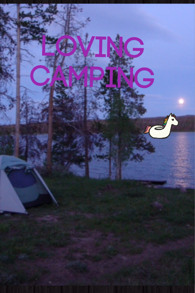 Loving camping